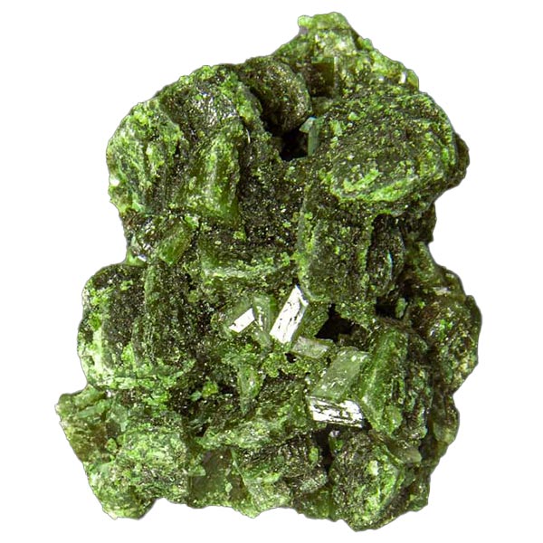 Green Molly