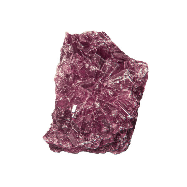 Purple Molly
