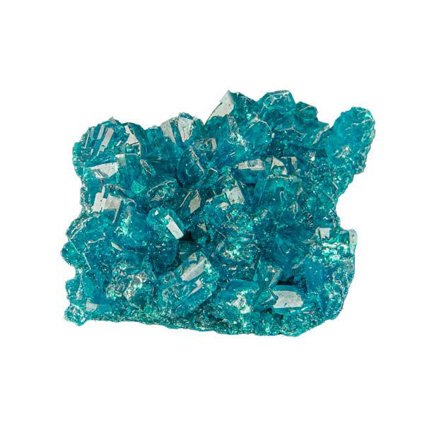 Blue Molly