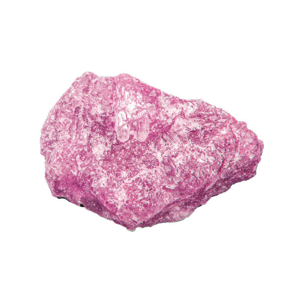 Rose Molly