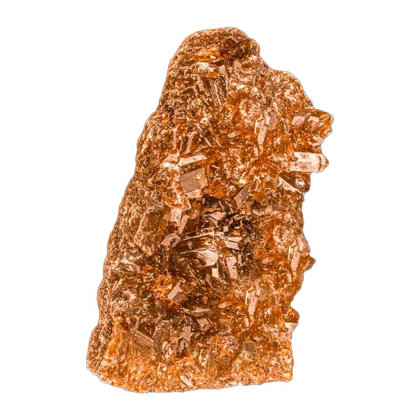 Orange Molly